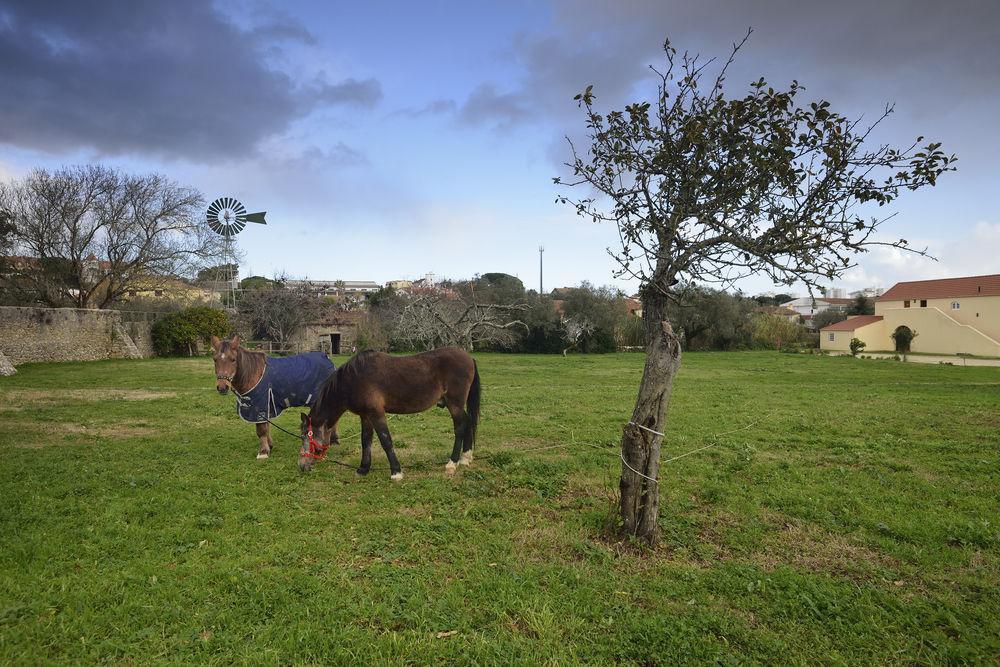 Quinta Do Scoto 4* Rinchoa