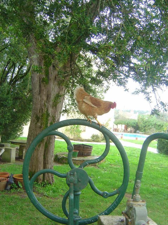 Quinta Do Scoto Bed & Breakfast Rinchoa